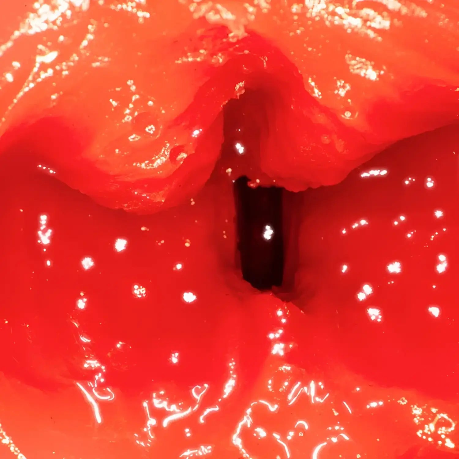 ❌🔖NPG Japan Cat-Eared Licking Blowjob MIA Nanazawa Cute Deep Throat Suction Onahole - Image 9