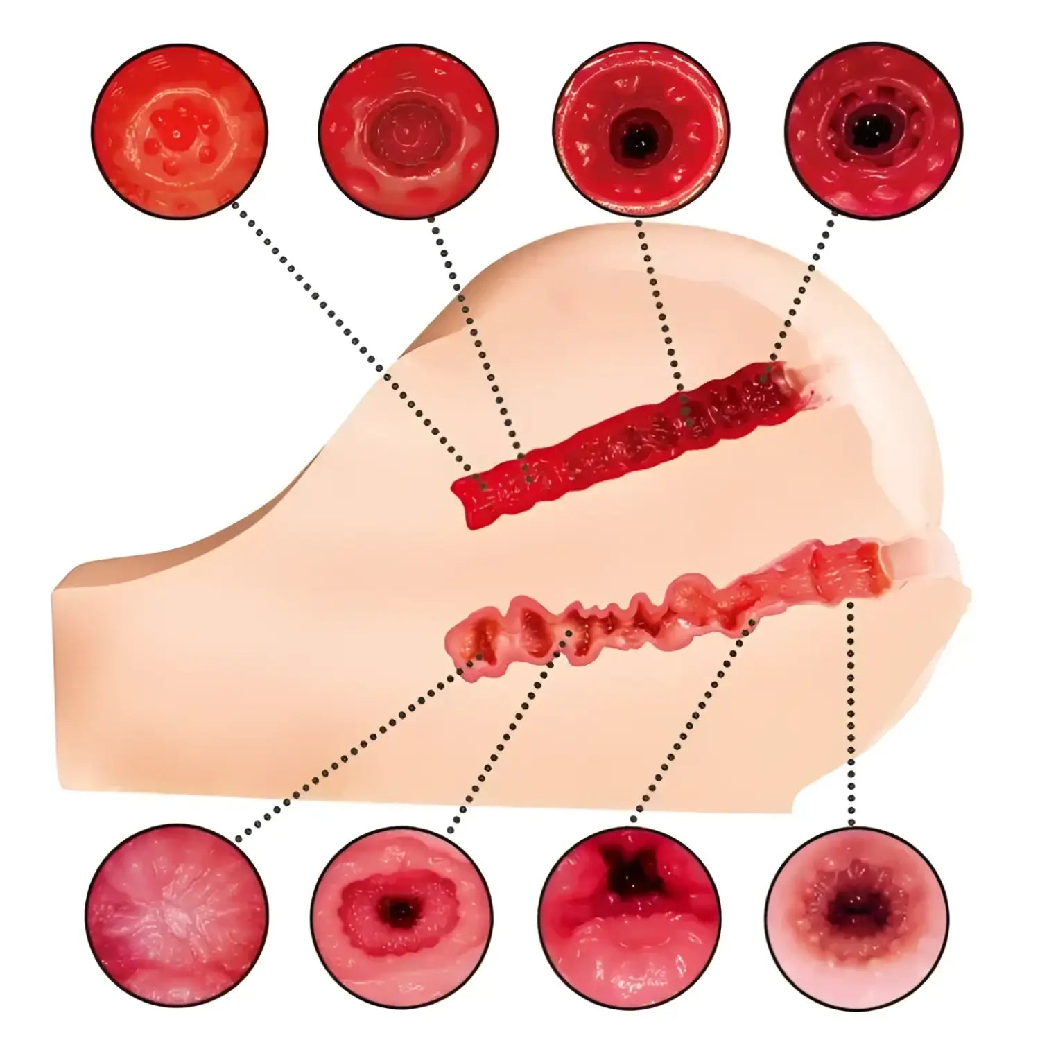 ❌🔖NPG Japan Gokujou Nama Koshi 4th Generation Hashimoto Arina Realistic Dual-Hole Onahip - Image 3