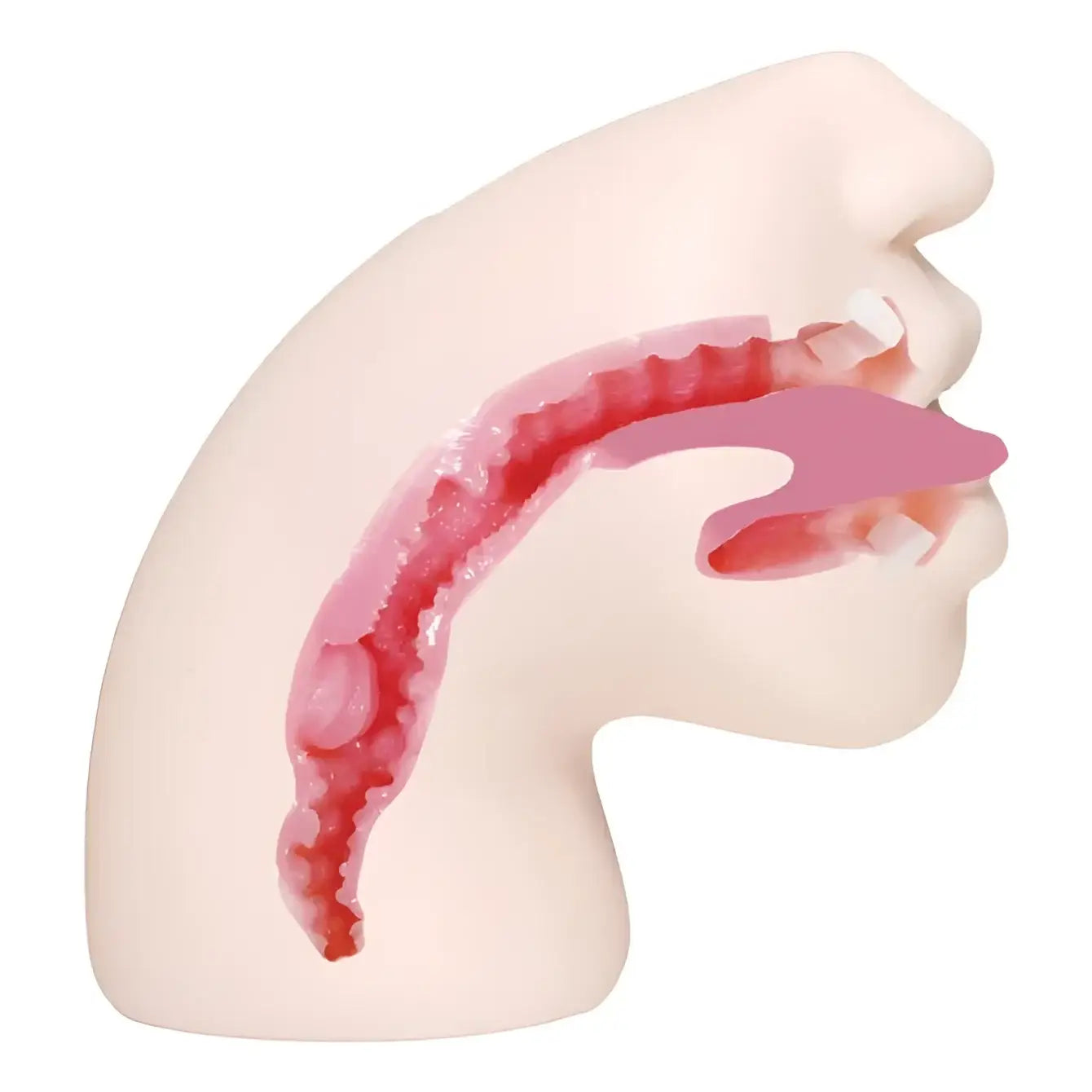 🔖JAPANTOYZ Yuki Yoshizawa Curved Deepthroat Diva Skin Blowjob Onahole - Image 4