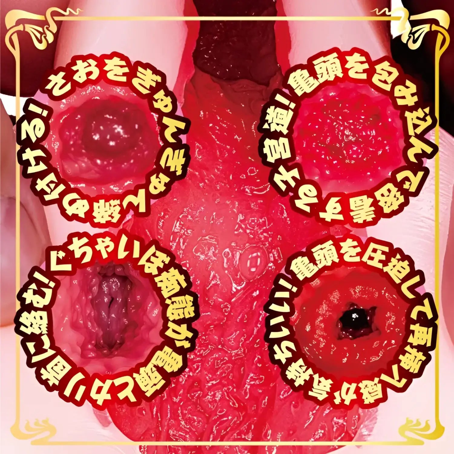 NPG Japan AV Mini Masterpiece Rima Arai Vagina Meiki - Image 7