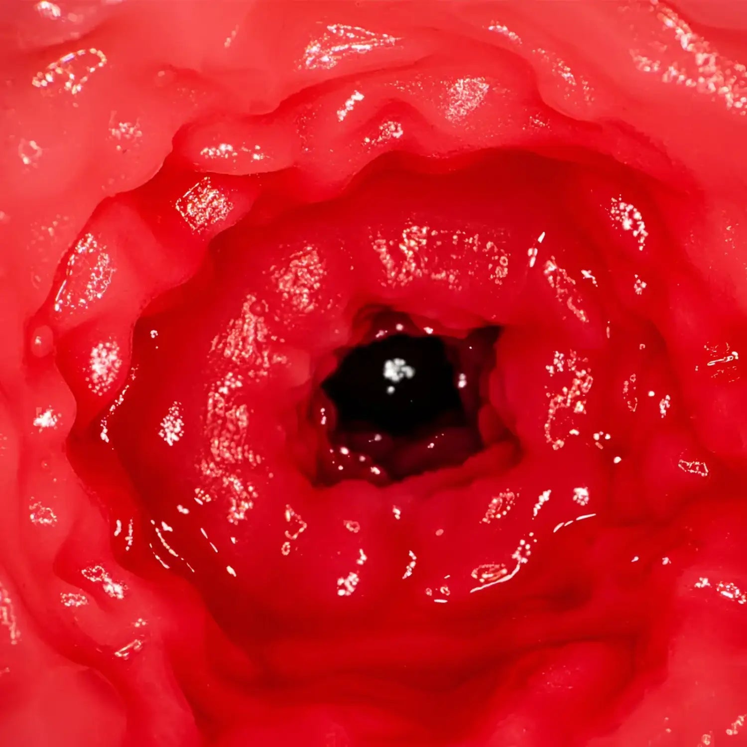 NPG Japan AV Mini Masterpiece Rima Arai Vagina Meiki - Image 3