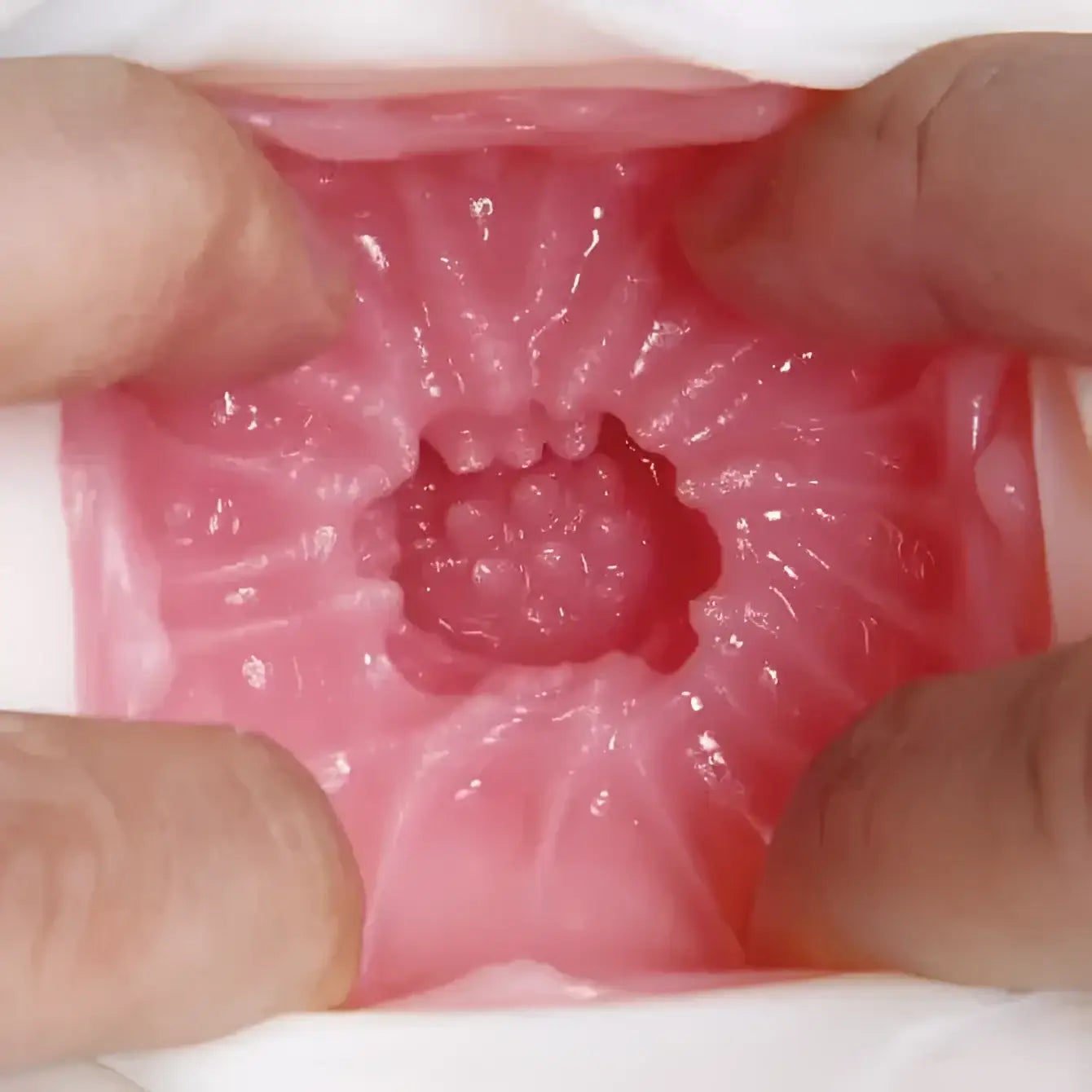 NPG Japan Nippori Meiki no Syoumei 11 Takahashi Shoko Pussy Onahole - Image 4