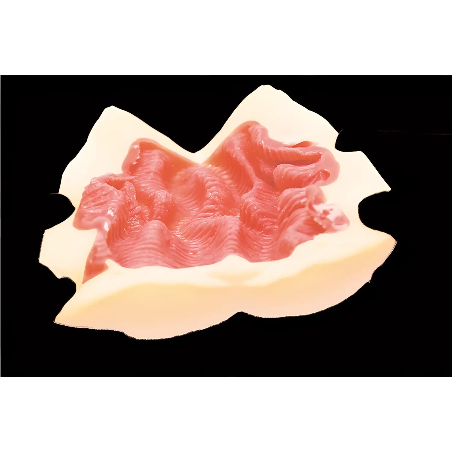 TAMATOYS Riding Master Senpai Twisting Fold Dynamic Wave Pressure Elastic Onahole - Image 4