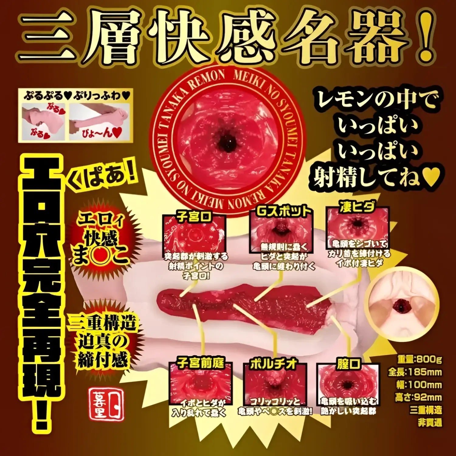 NPG Japan Nippori Meiki no Syoumei 13 Tanaka Lemon Triple Layer Onahole - Image 6