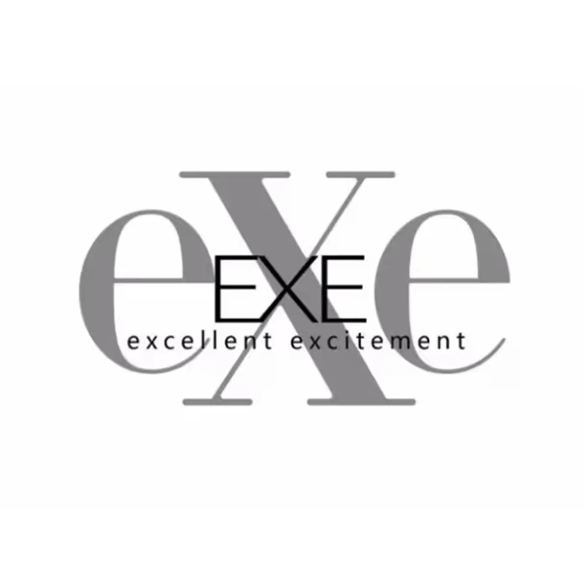 EXE Japan logo